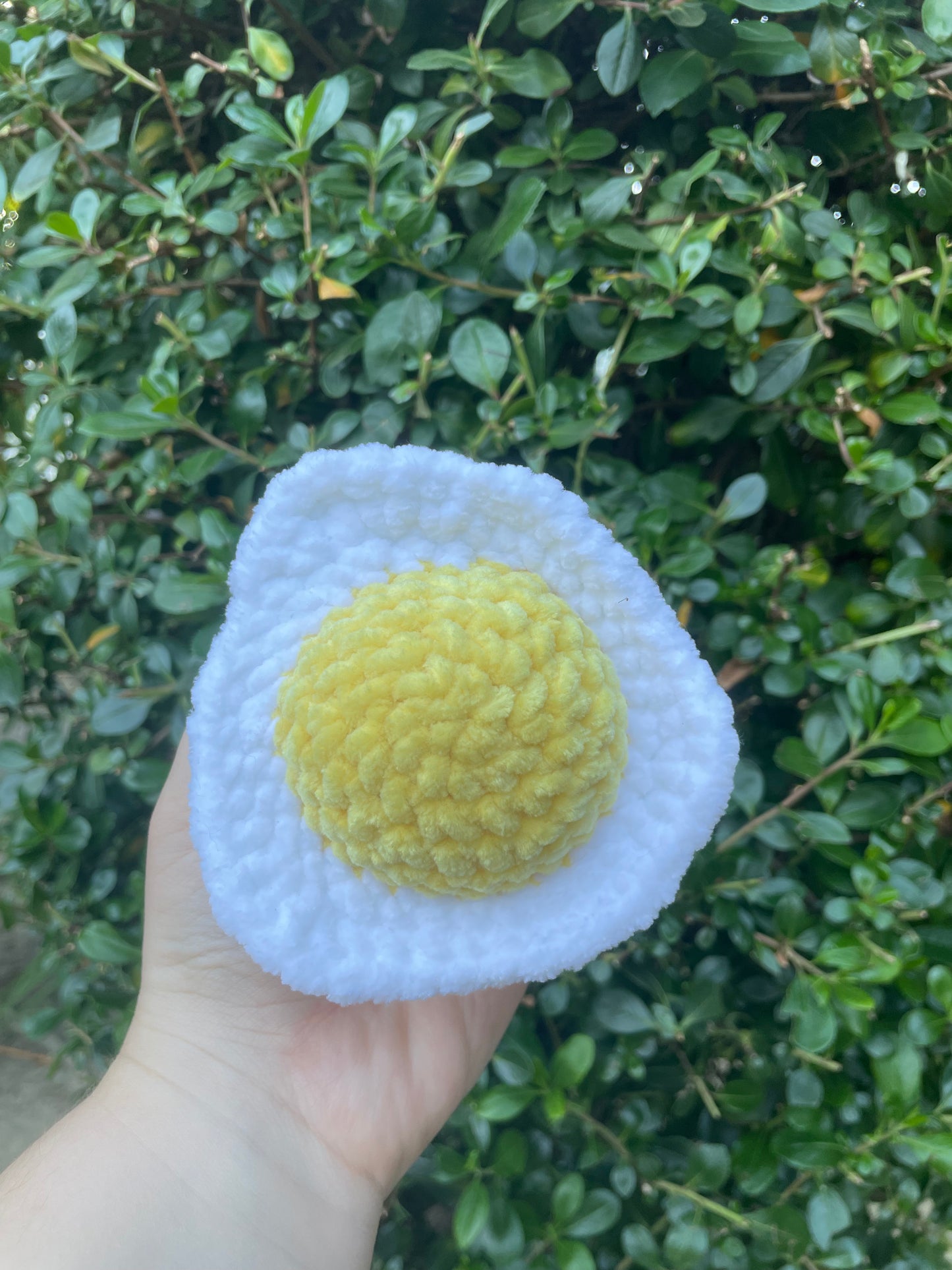 Fried Egg Chonky Boi