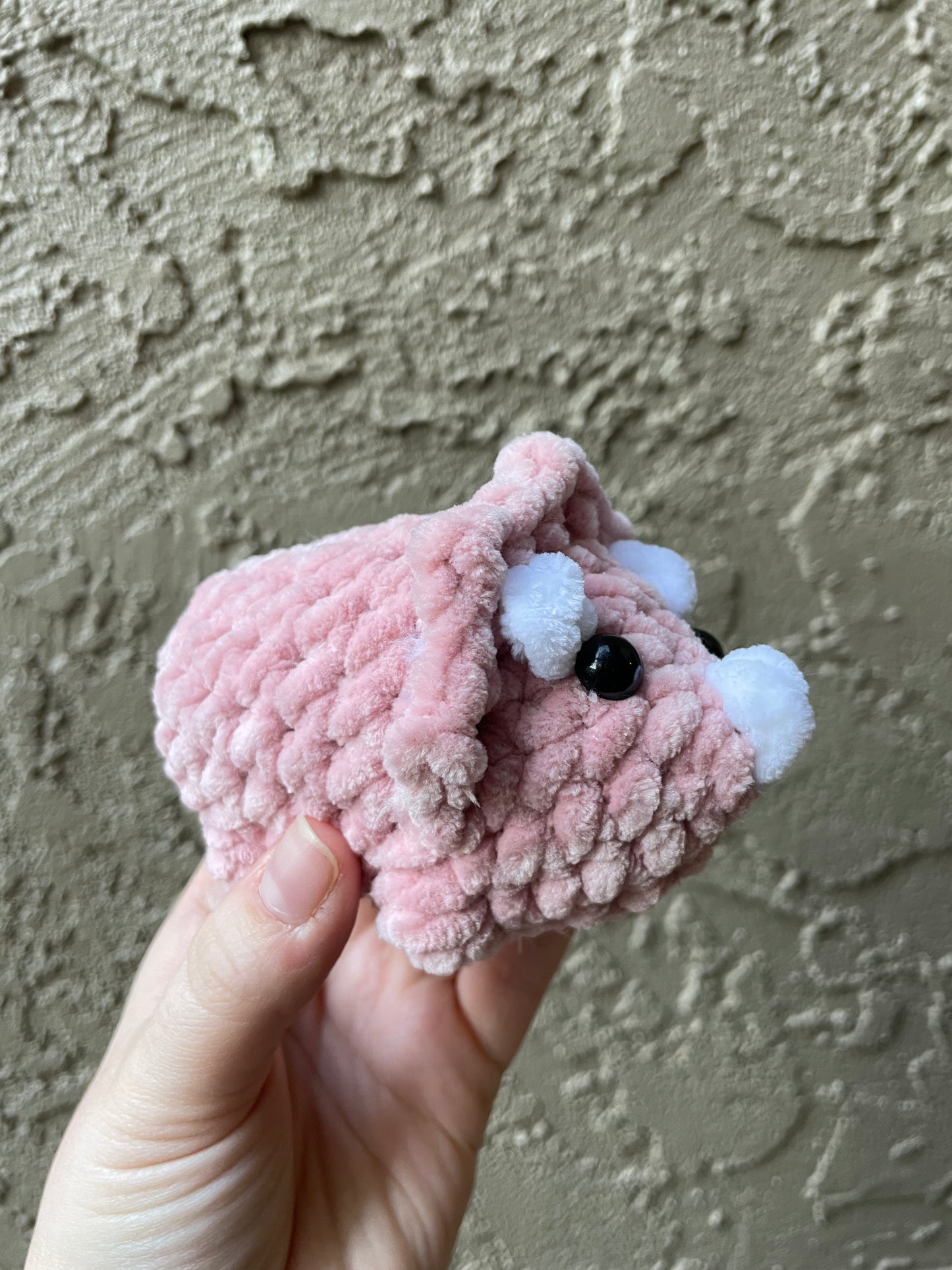 Triceratops