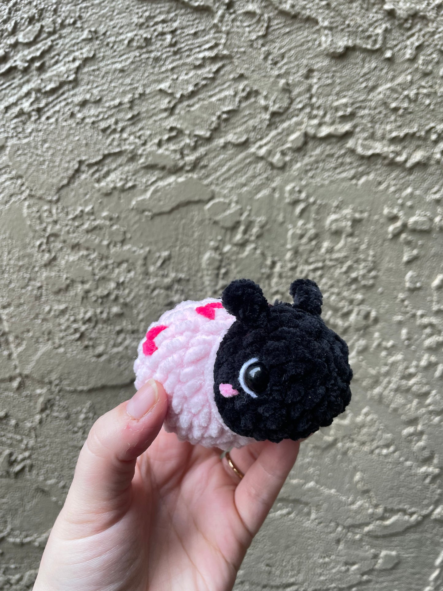 Ladybug