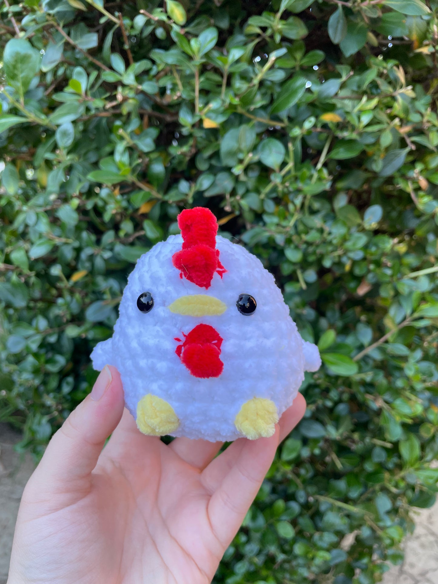 Chunky Bird