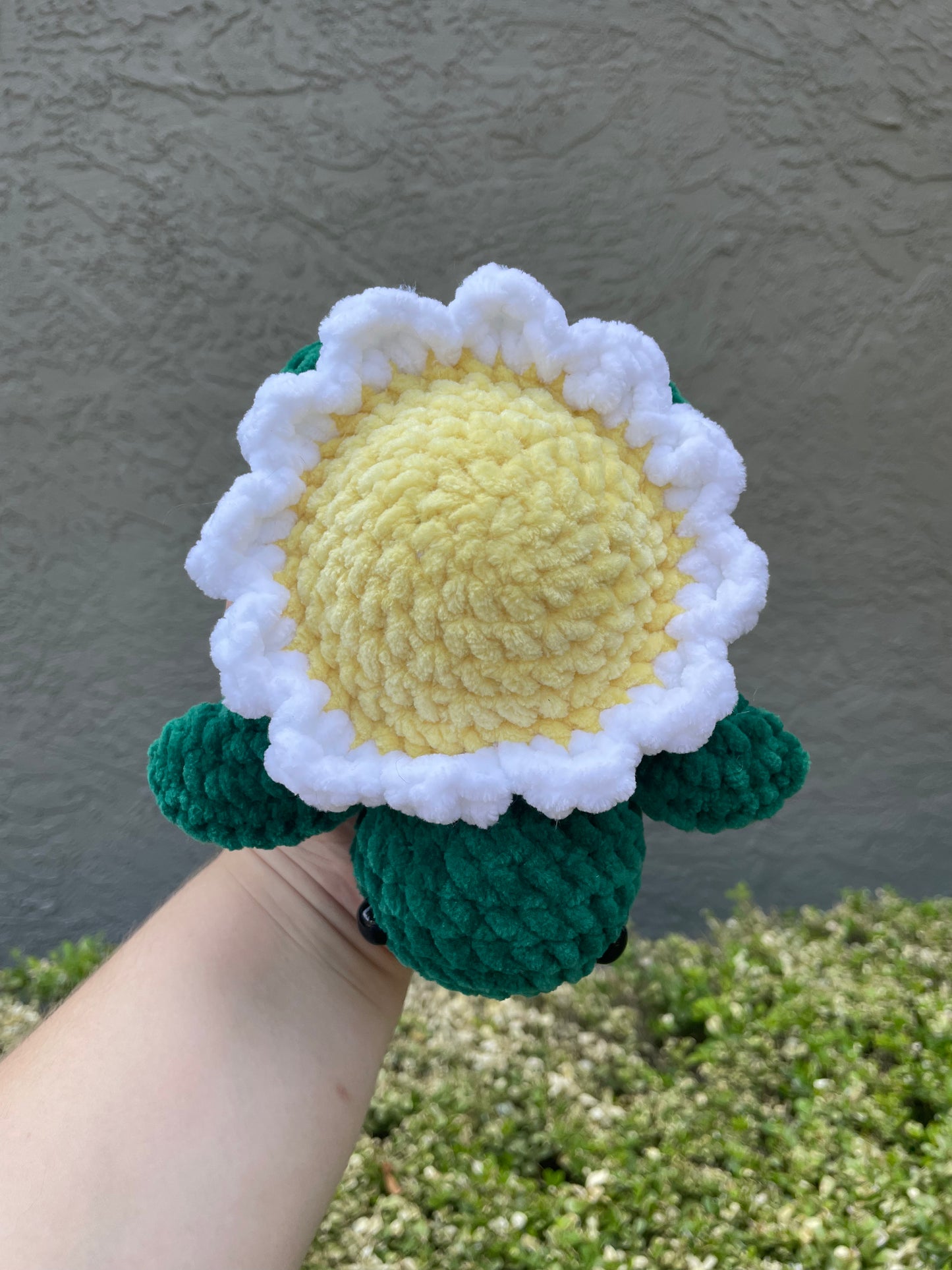 Small Sunflower Turtle