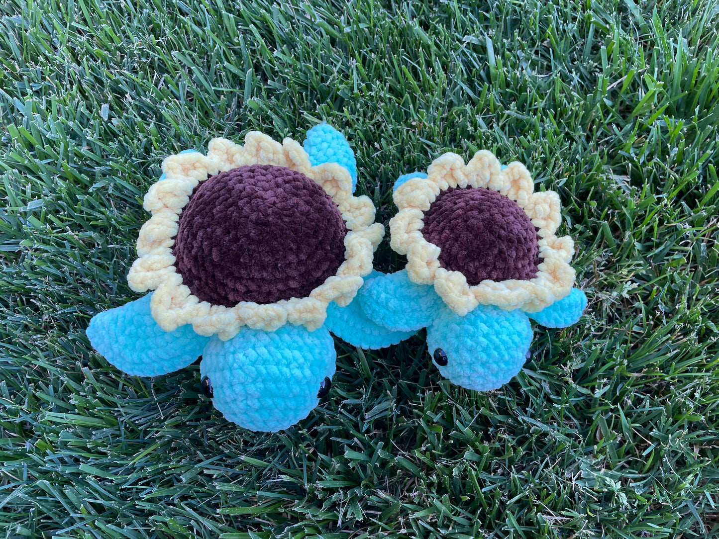 Medium Sunflower Turtle