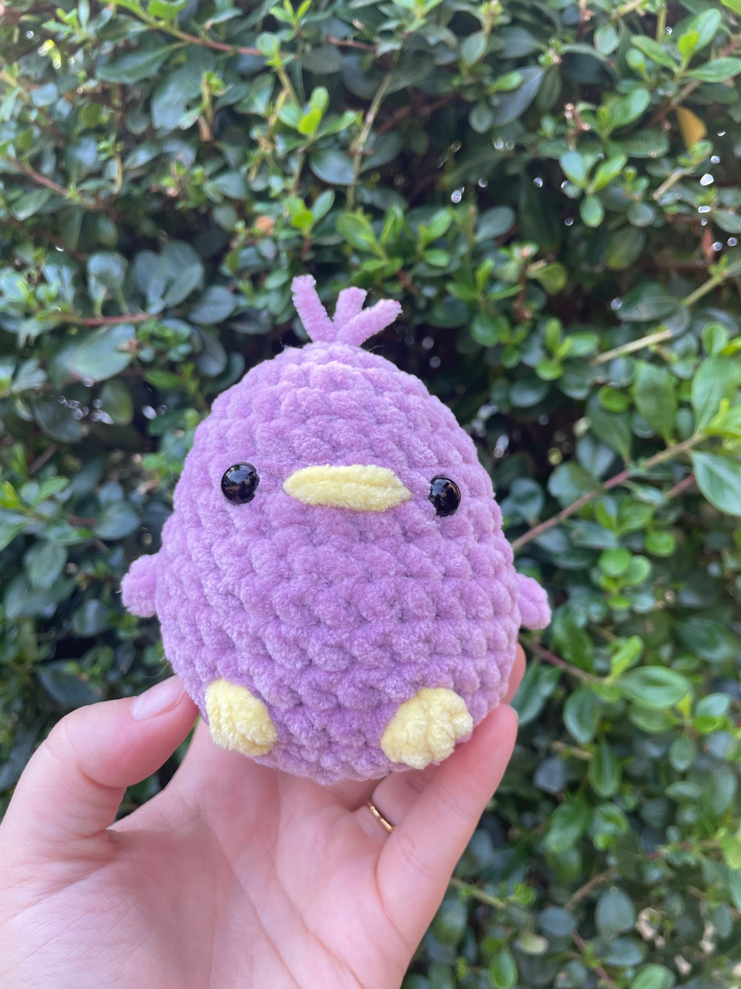 Chunky Bird