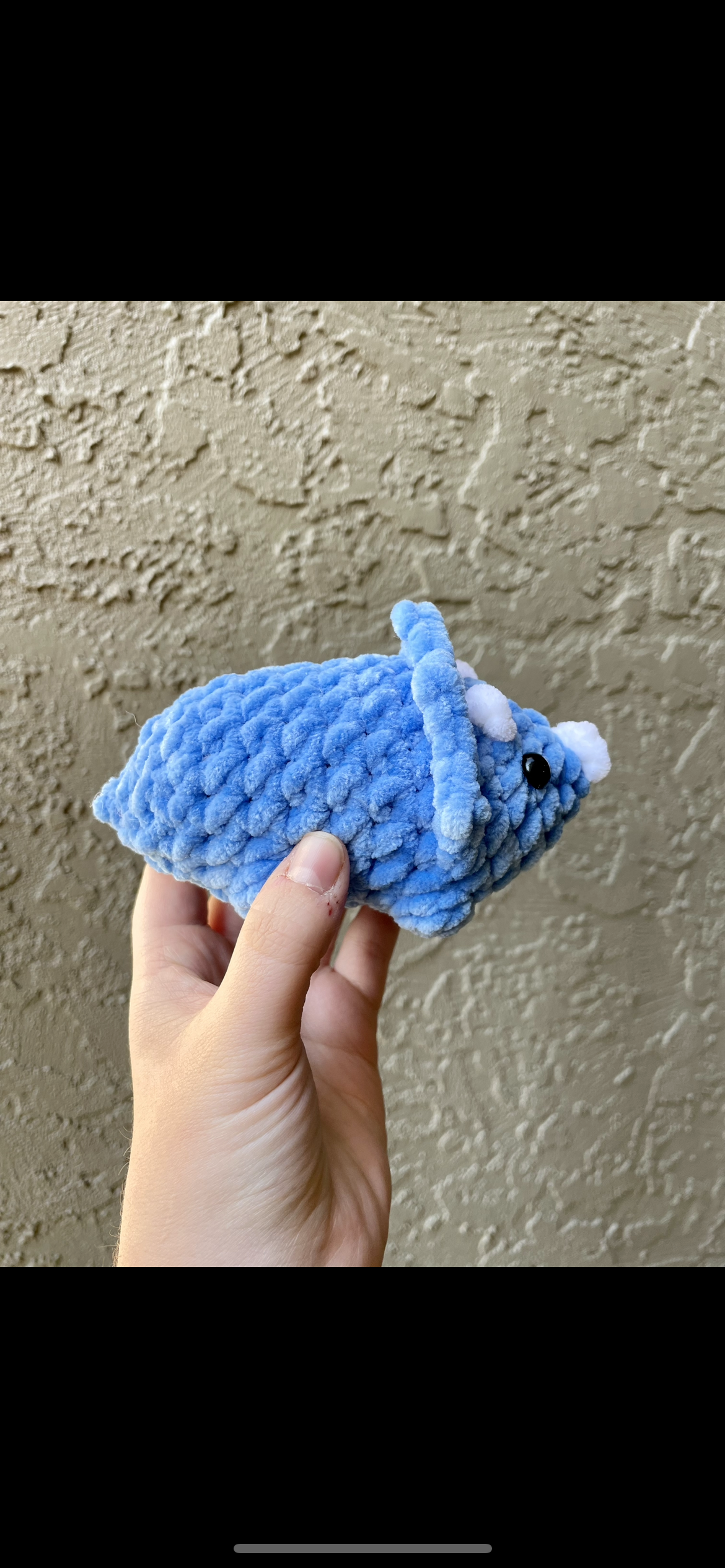 Triceratops