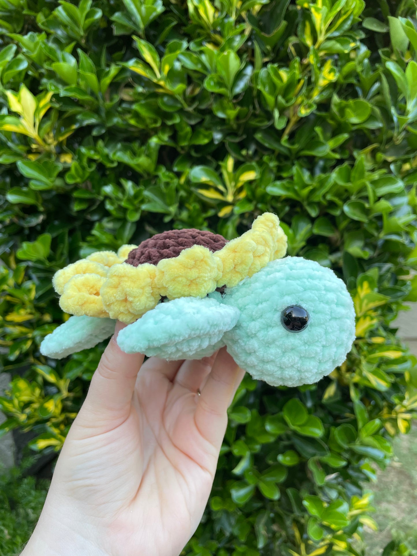 Medium Sunflower Turtle