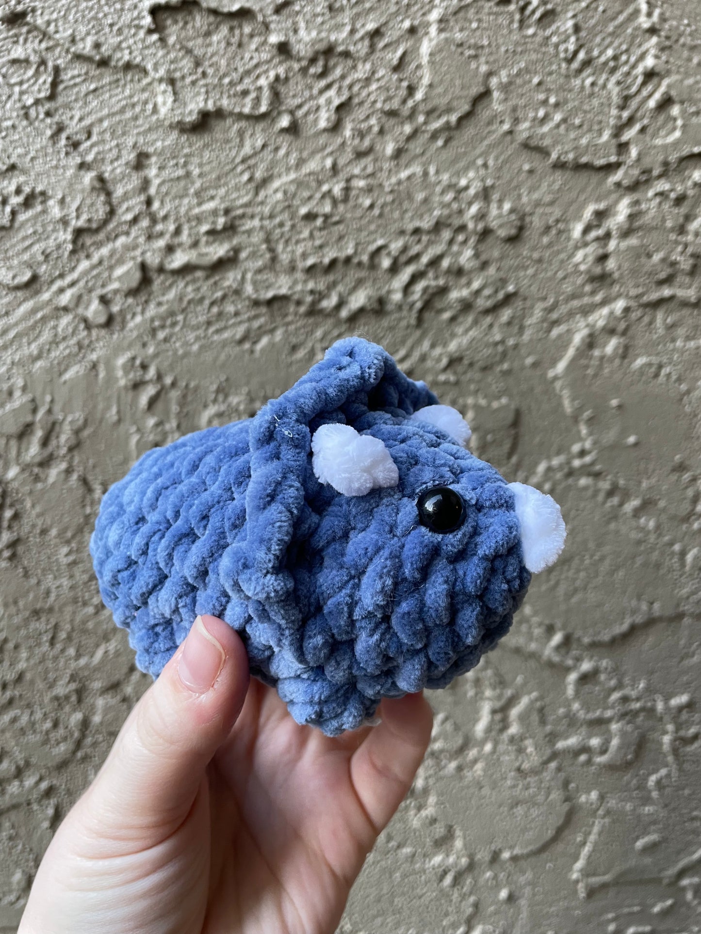 Triceratops