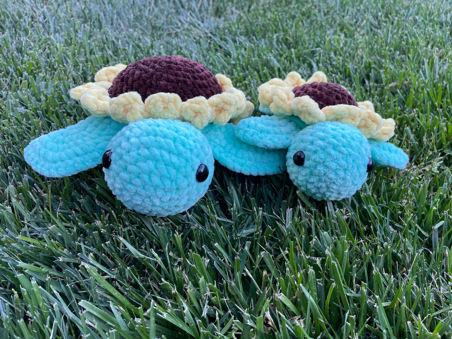 Medium Sunflower Turtle