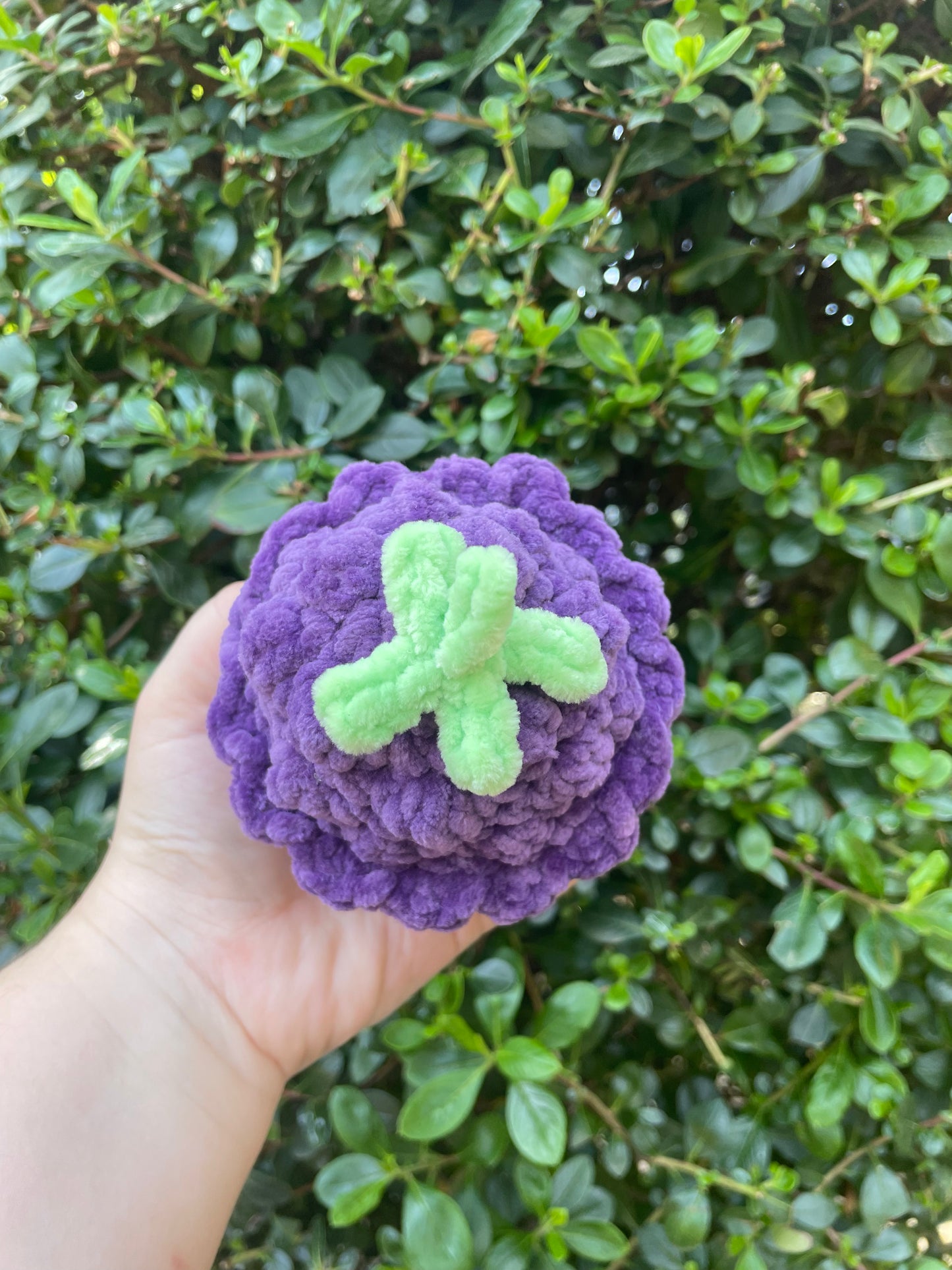Grape Chonky Boi