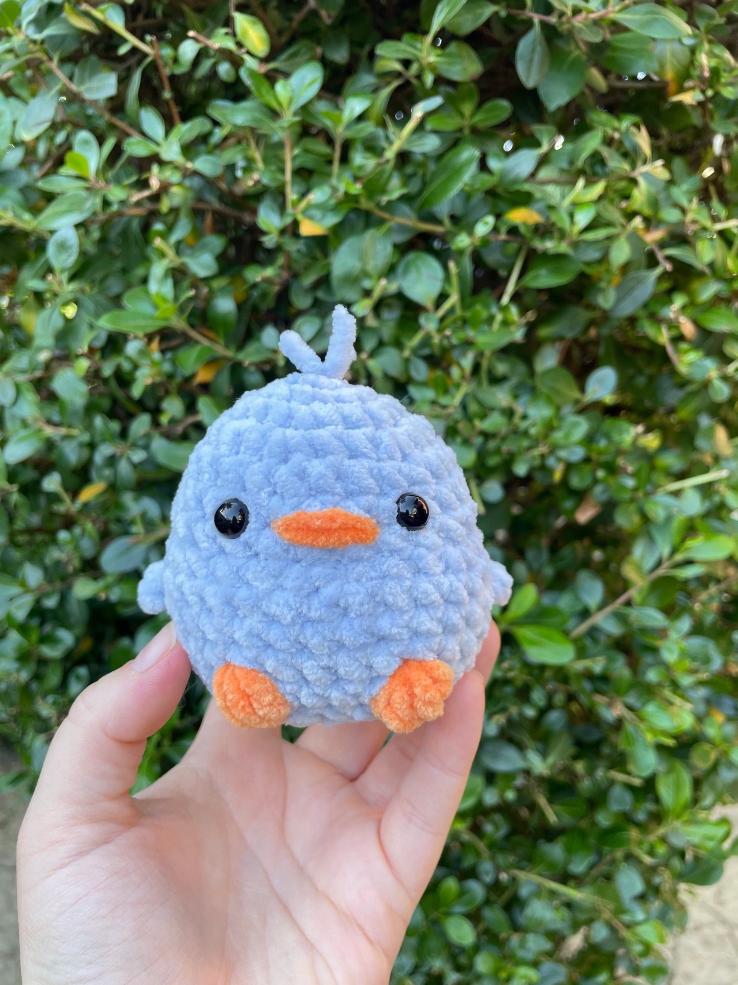 Chunky Bird