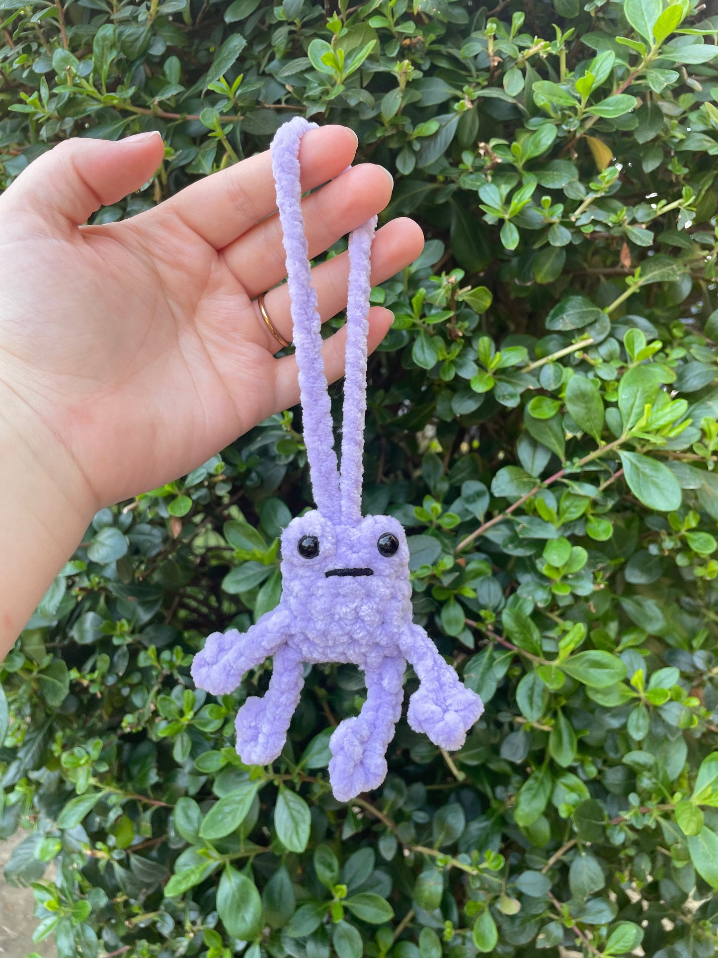 Leggy Frog Car Charm