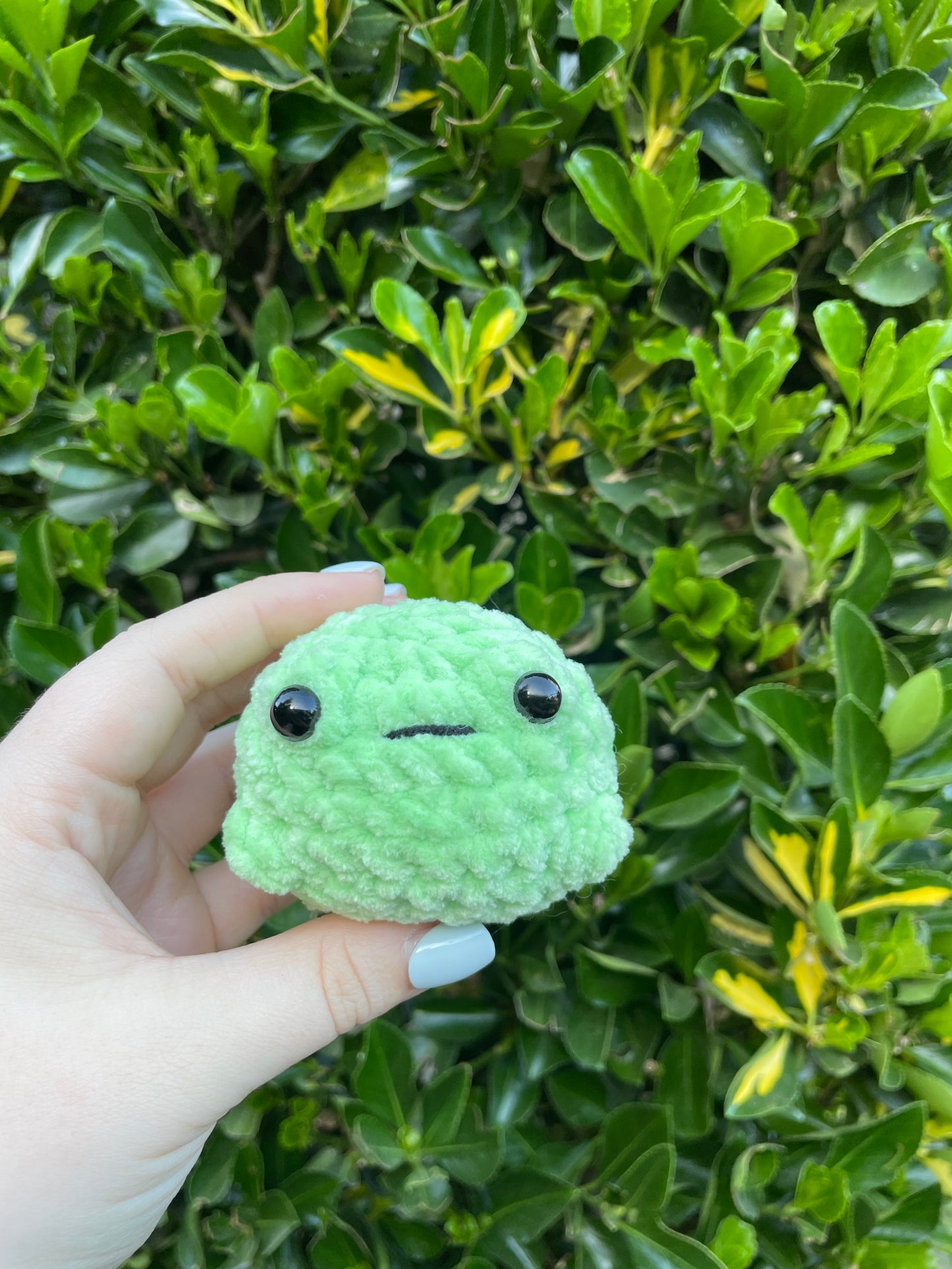 Froggee
