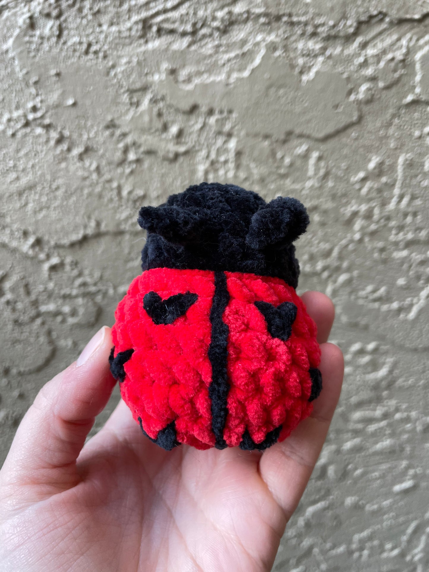 Ladybug