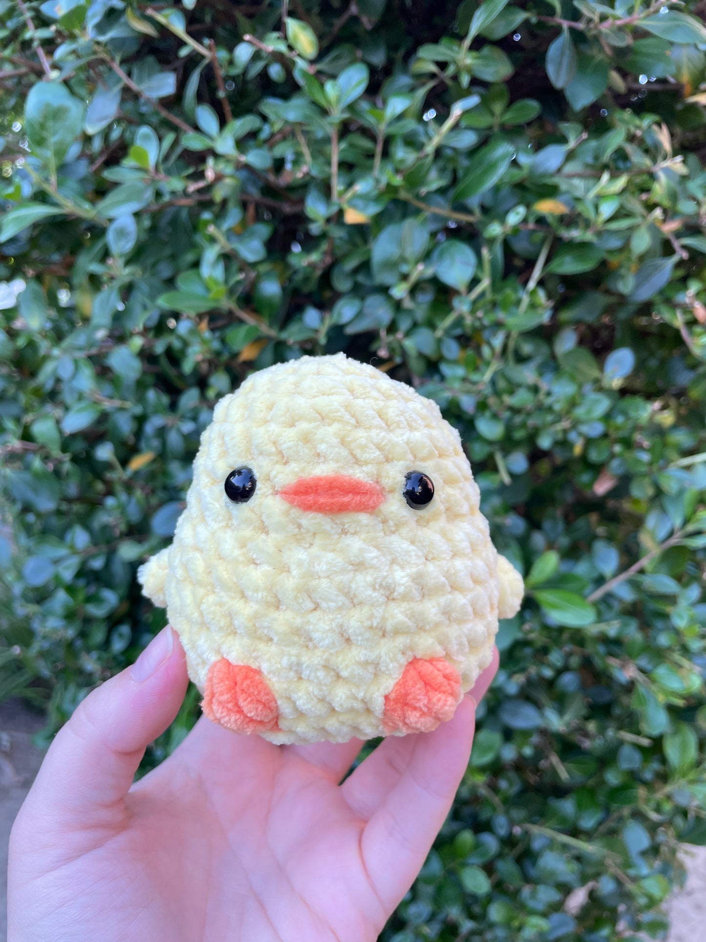 Chunky Bird
