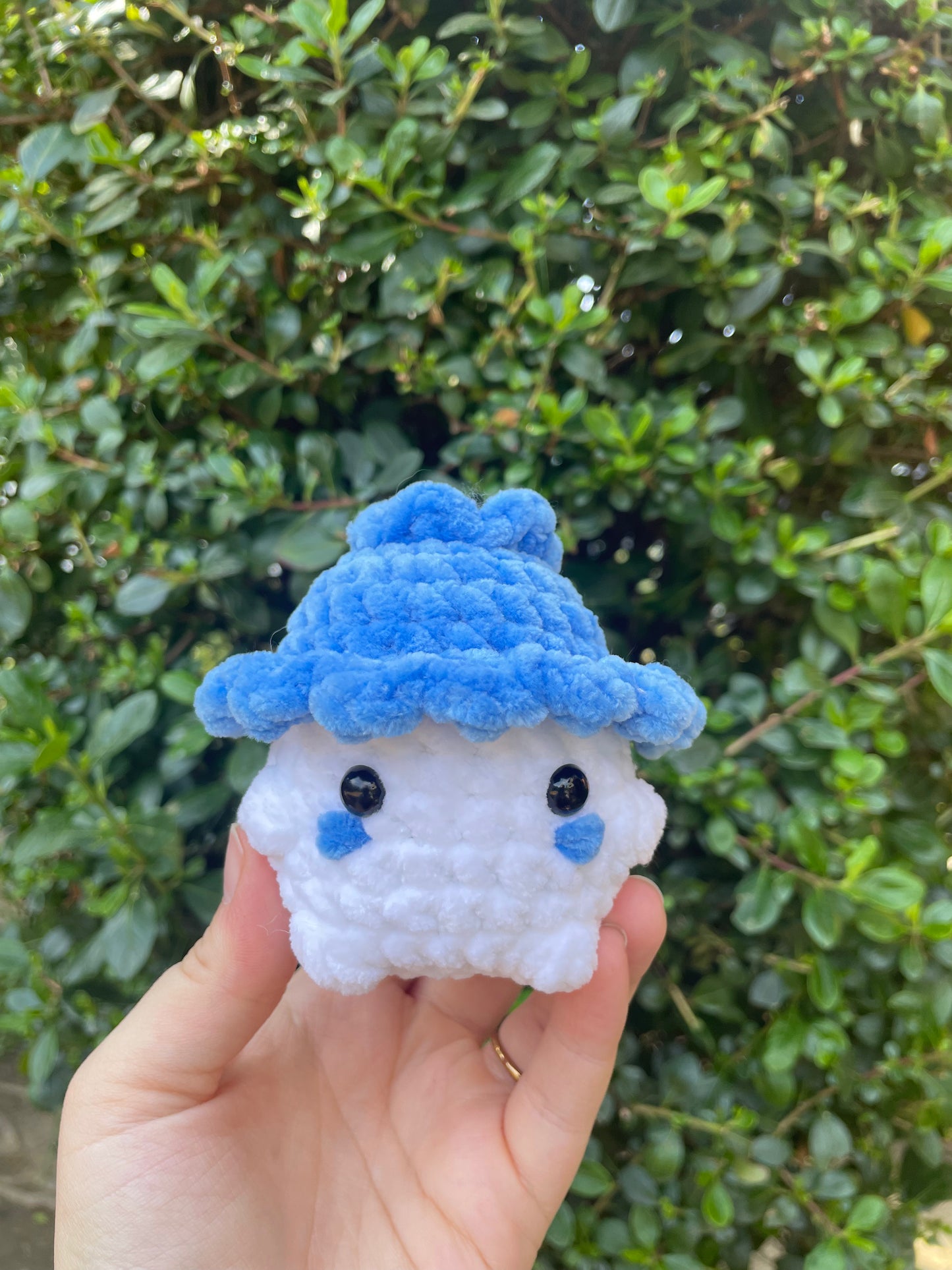 Blueberry Chonky Boi