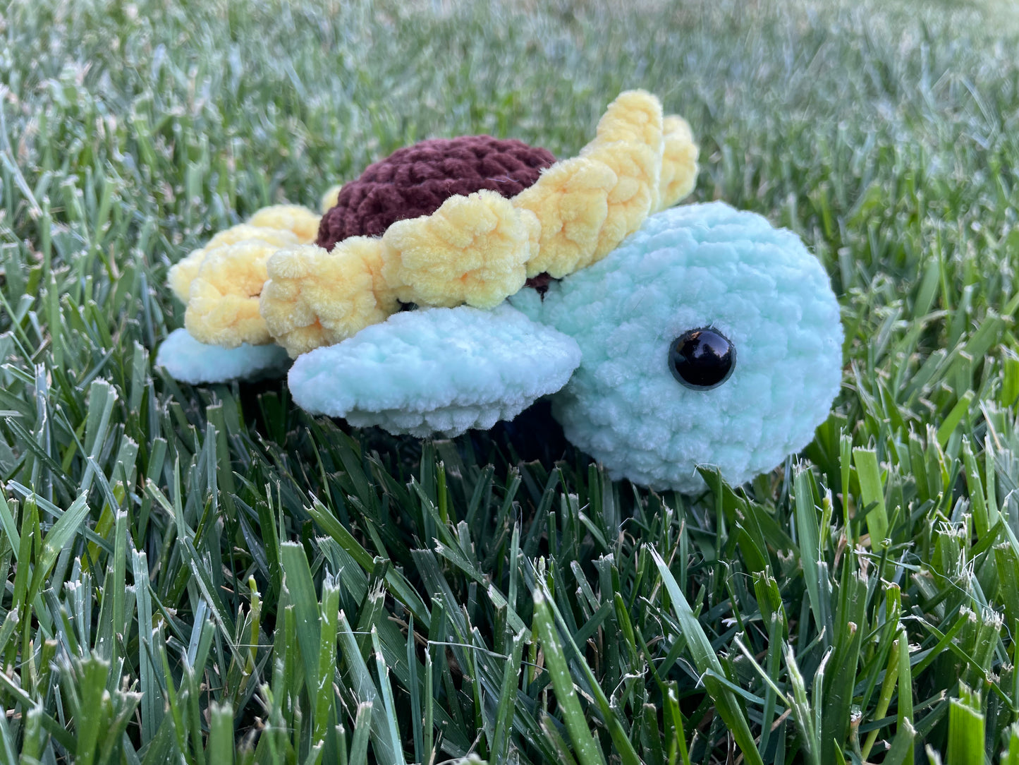 Small Sunflower Turtle