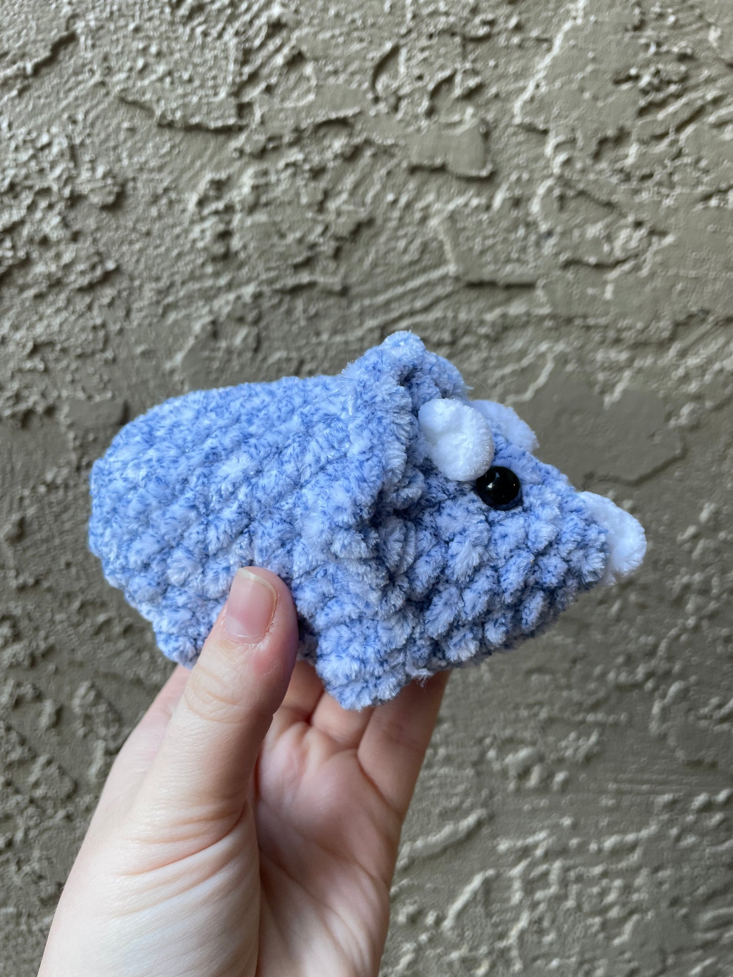 Triceratops