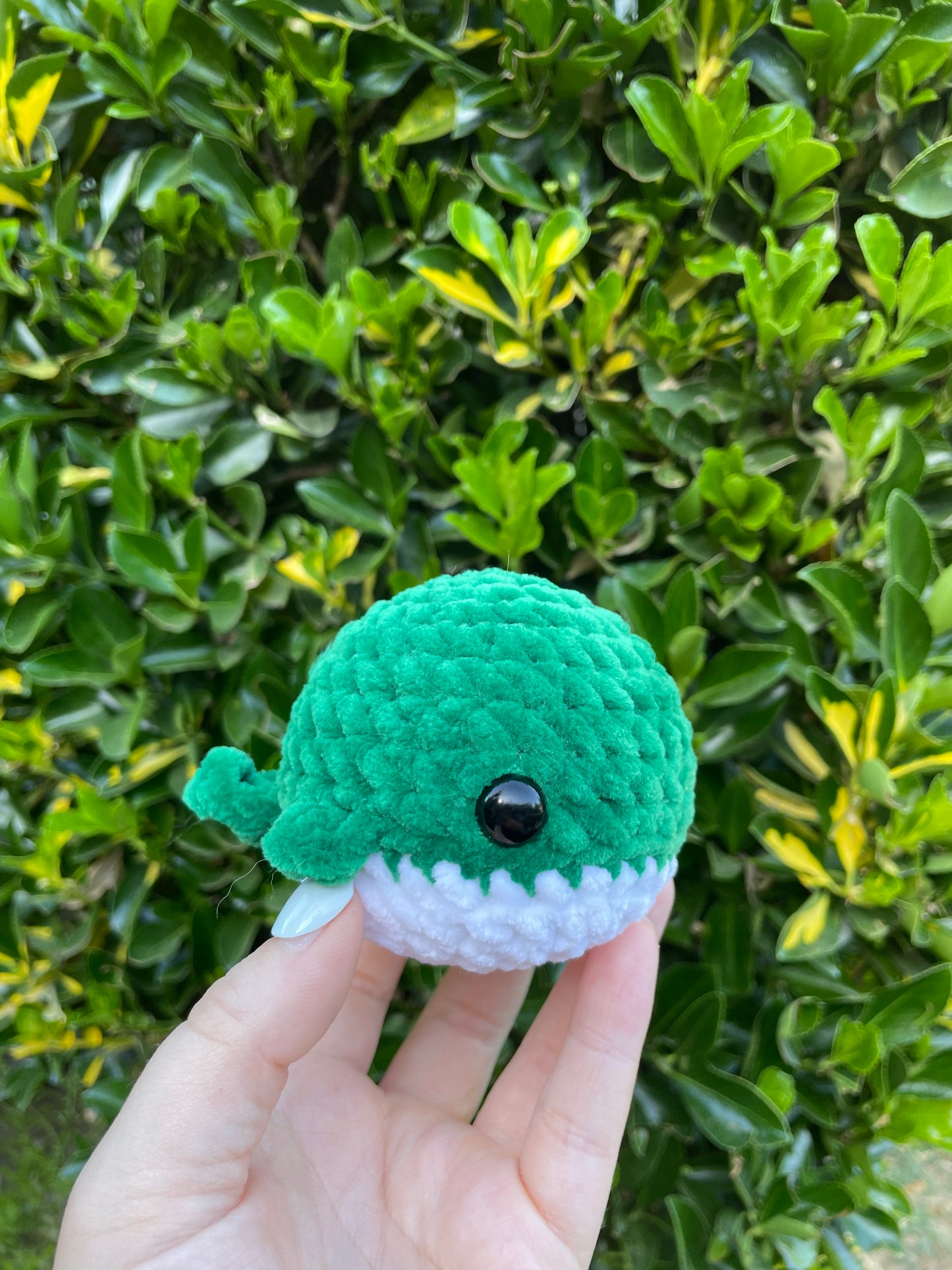 Whale