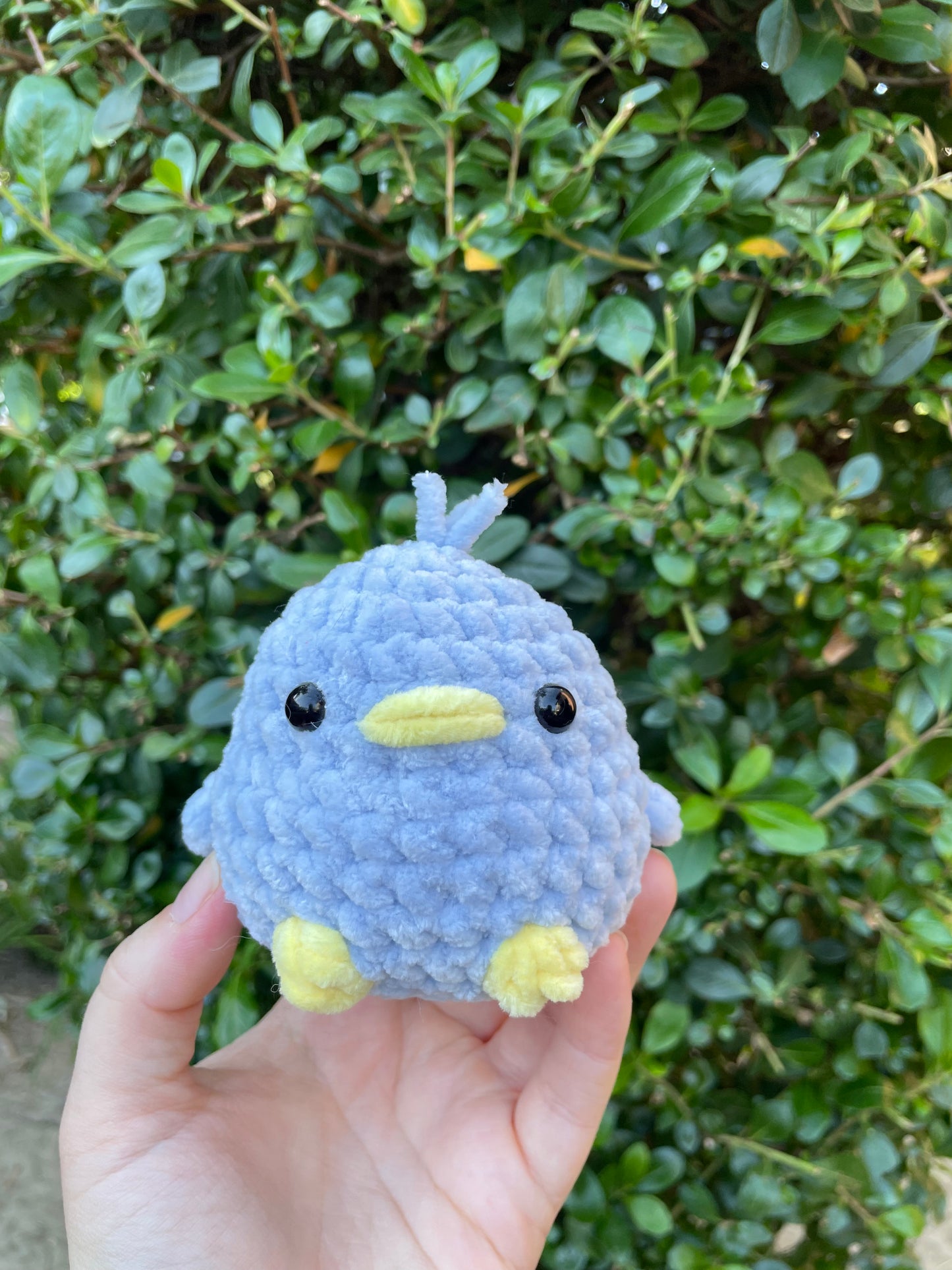 Chunky Bird