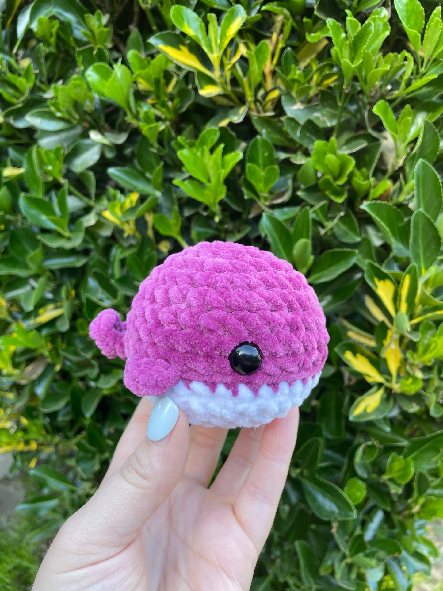 Whale