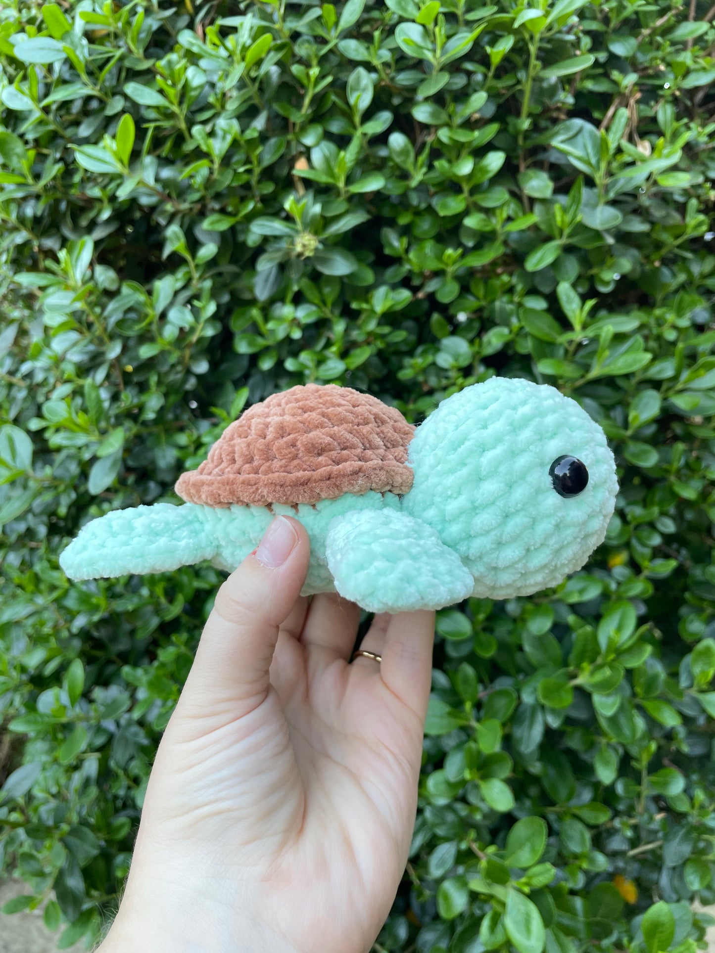 Small Turtle