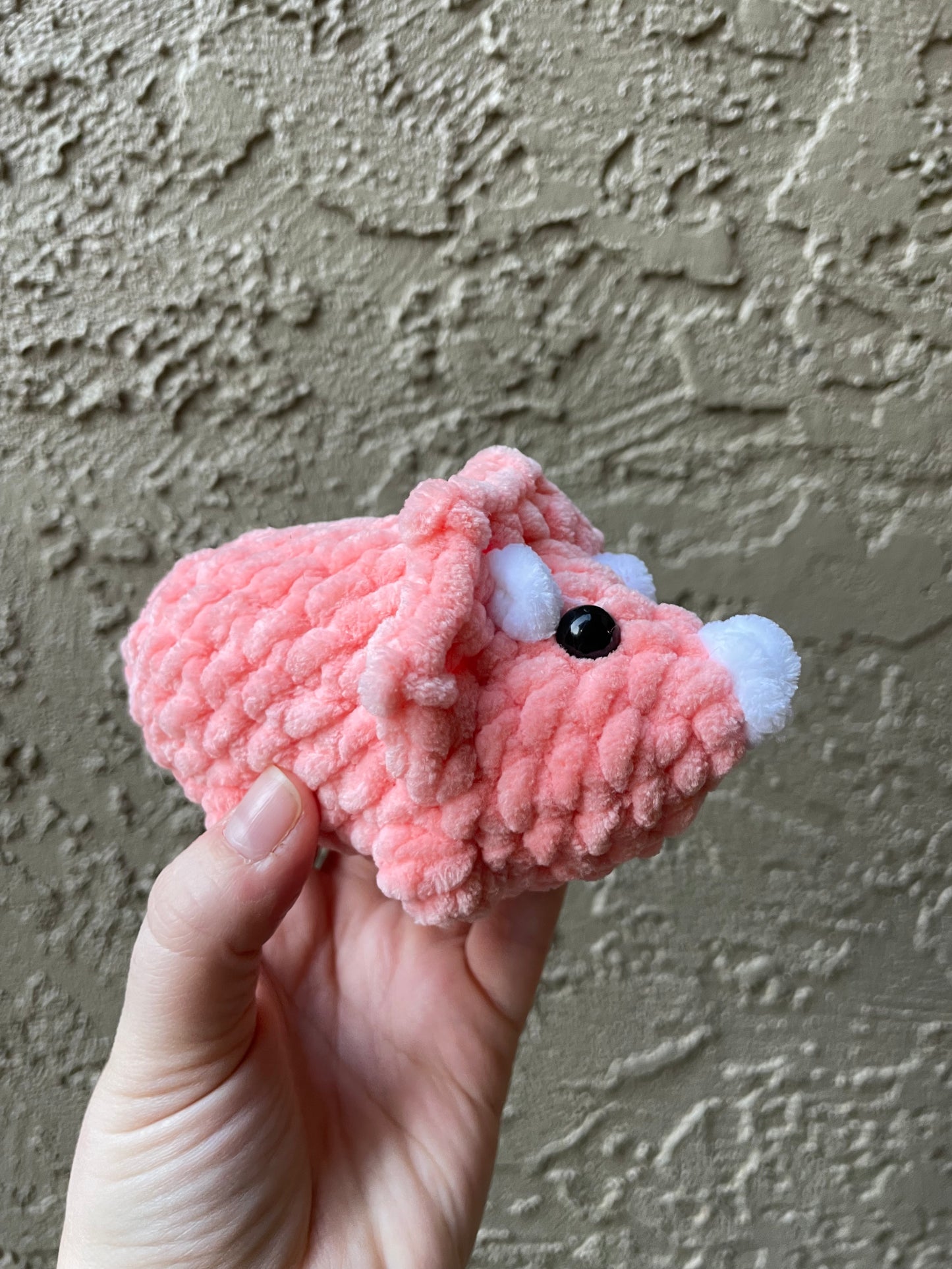 Triceratops