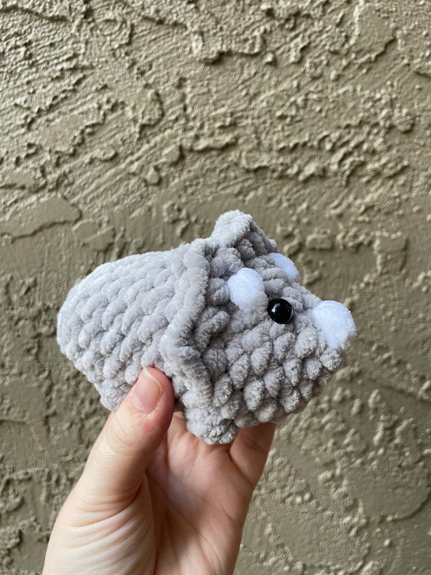 Triceratops