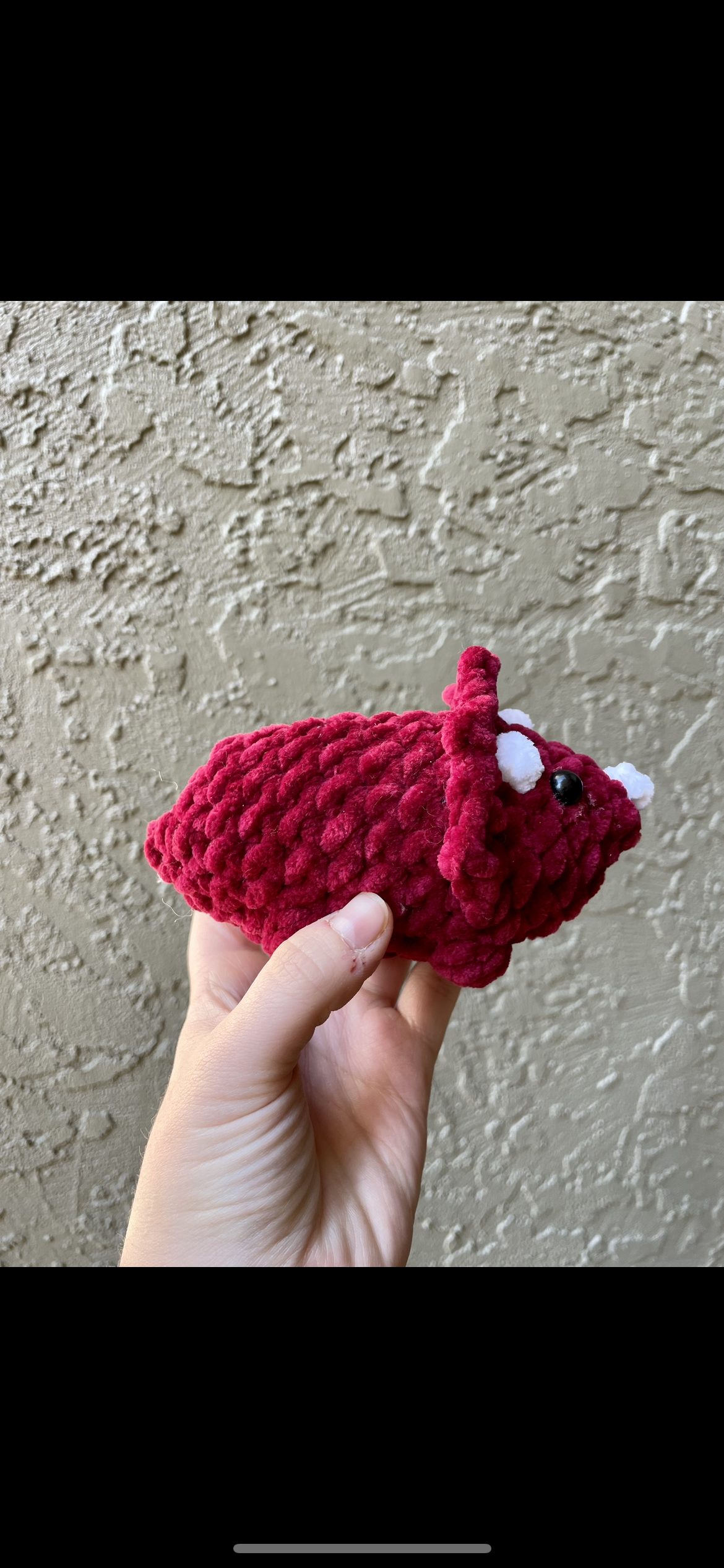 Triceratops