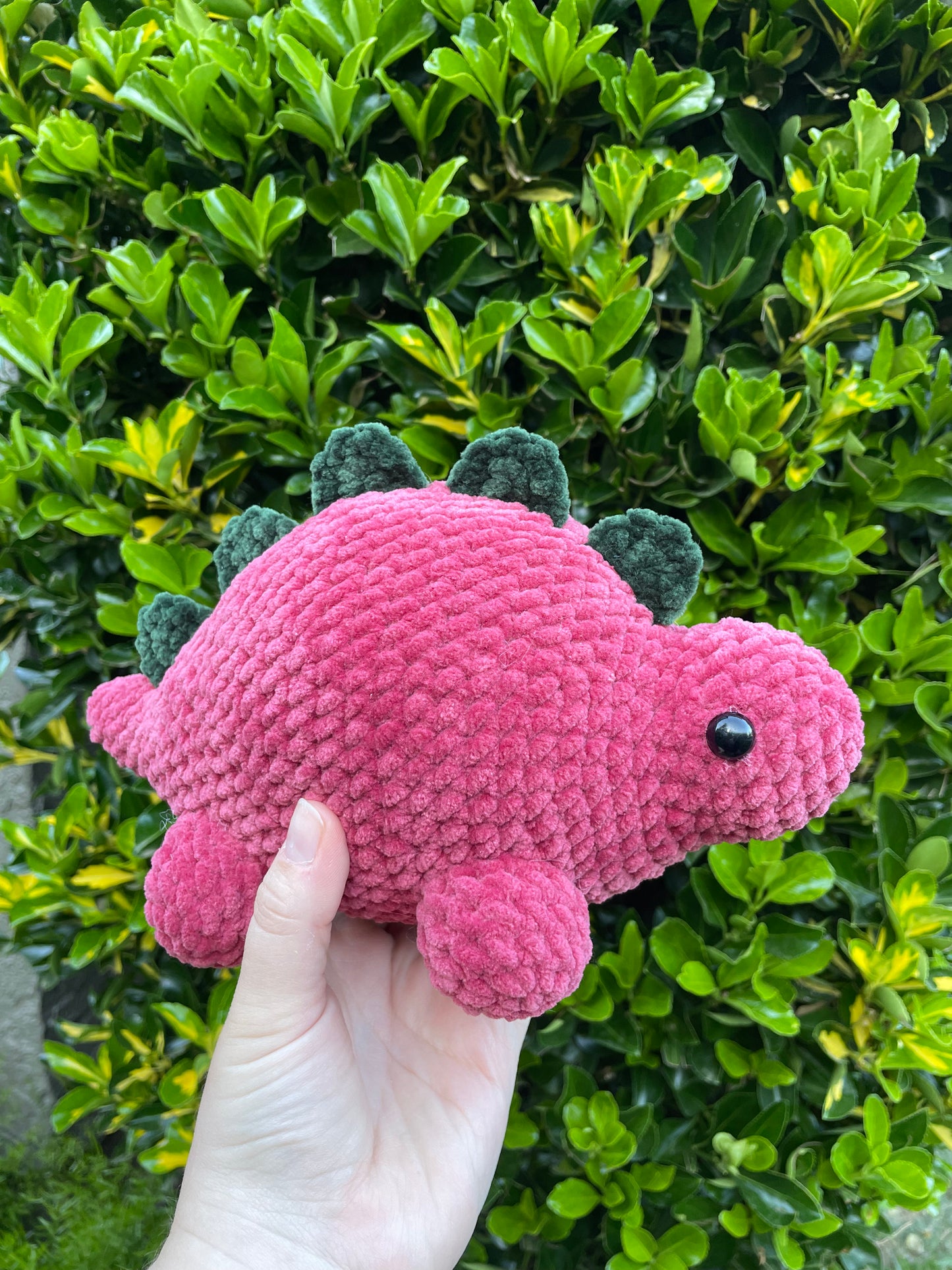 Stegosaurus