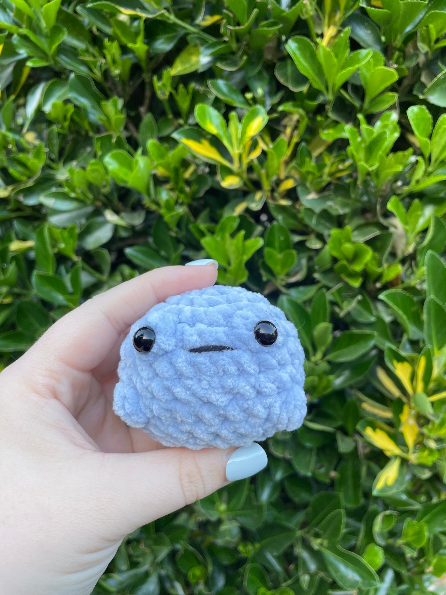 Froggee