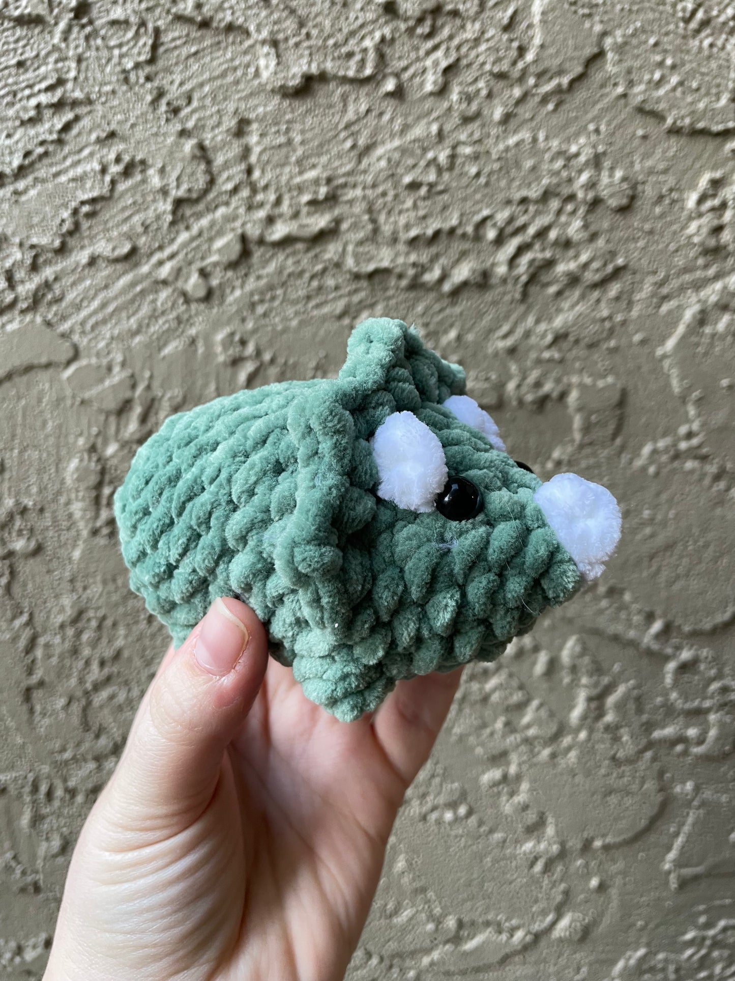 Triceratops